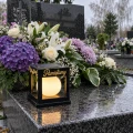 znicz a1 (2).png