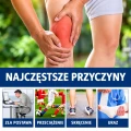 Spray na Ból Stawów z Jadem Pszczelim Kolana Plecy Szyja Barki  30 ml