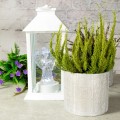 812c8b403776e611eb00dbbc96a2c9c9