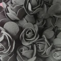11bf0091517f0e96d8826193641a00fe