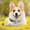ba0461995ffe5d3ec9f72b8b5dc3c034