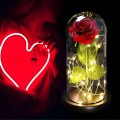 c5ebeb2091272aa2d650ff832158c3f9