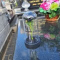 WIECZNA RÓŻA ŚWIECĄCA ZNICZ lampion LED dekoracja na grób na cmentarz