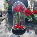 WIECZNA RÓŻA ŚWIECĄCA ZNICZ lampion LED dekoracja na grób na cmentarz