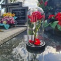 WIECZNA RÓŻA ŚWIECĄCA ZNICZ lampion LED dekoracja na grób na cmentarz