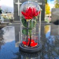WIECZNA RÓŻA ŚWIECĄCA ZNICZ lampion LED dekoracja na grób na cmentarz