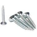 58 SZT WKRĘTY DO DREWNA 3x20 mm SREBRNE MINI WKRĘTY OCYNK