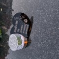 ZNICZ SOLARNY LED dla Psa/Kota statuetka serce  grawer IMIĘ  lampka 3D