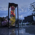 Znicz solarny LED lampion NA GRÓB cmentarz RÓŻA CZERWONA wieczna duży kwiat