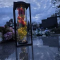 Znicz solarny LED lampion NA GRÓB cmentarz RÓŻA CZERWONA wieczna duży kwiat