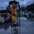 Znicz solarny LED lampion NA GRÓB cmentarz RÓŻA CZERWONA wieczna duży kwiat