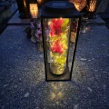 Znicz solarny LED lampion NA GRÓB cmentarz RÓŻA CZERWONA wieczna duży kwiat