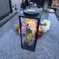 Znicz solarny LED lampion NA GRÓB cmentarz RÓŻA BIAŁA wieczna duży kwiaty