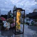 Znicz solarny LED lampion NA GRÓB cmentarz RÓŻA BIAŁA wieczna duży kwiaty