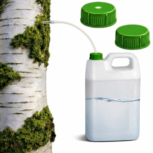 SOK Z BRZOZY ZESTAW DO ZBIERANIA SOKU Z BRZOZY POZYSKIWANIA OSKOŁY KAPILARA