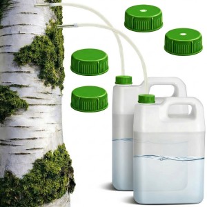 SOK Z BRZOZY ZESTAW DO ZBIERANIA SOKU Z BRZOZY POZYSKIWANIA OSKOŁY 2 SZTUKI