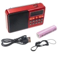 Mini Radio na budowę FM Bluetooth Przenośne na Baterie Głośnik Bezprzewodowy