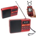 Mini Radio na budowę FM Bluetooth Przenośne na Baterie Głośnik Bezprzewodowy
